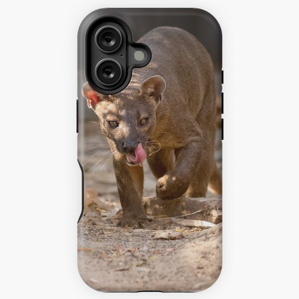 Item preview, Prowling fossa designed and sold by Anthony Brewer.