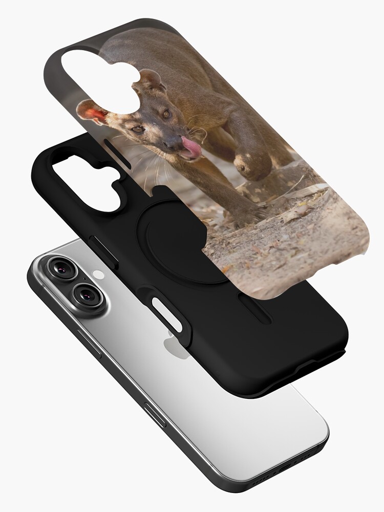 Thumbnail 2 of 4, iPhone Case, Prowling fossa designed and sold by dailyanimals.
