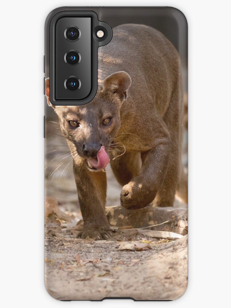 Thumbnail 1 of 4, Samsung Galaxy Phone Case, Prowling fossa designed and sold by Anthony Brewer.