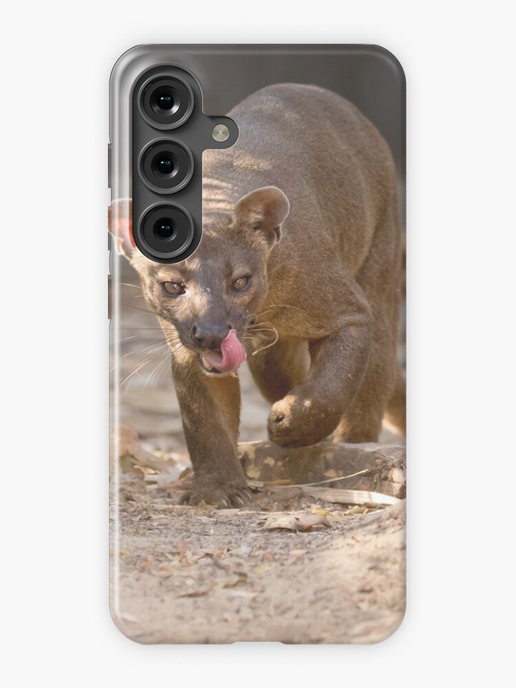 Thumbnail 1 of 4, Samsung Galaxy Phone Case, Prowling fossa designed and sold by dailyanimals.