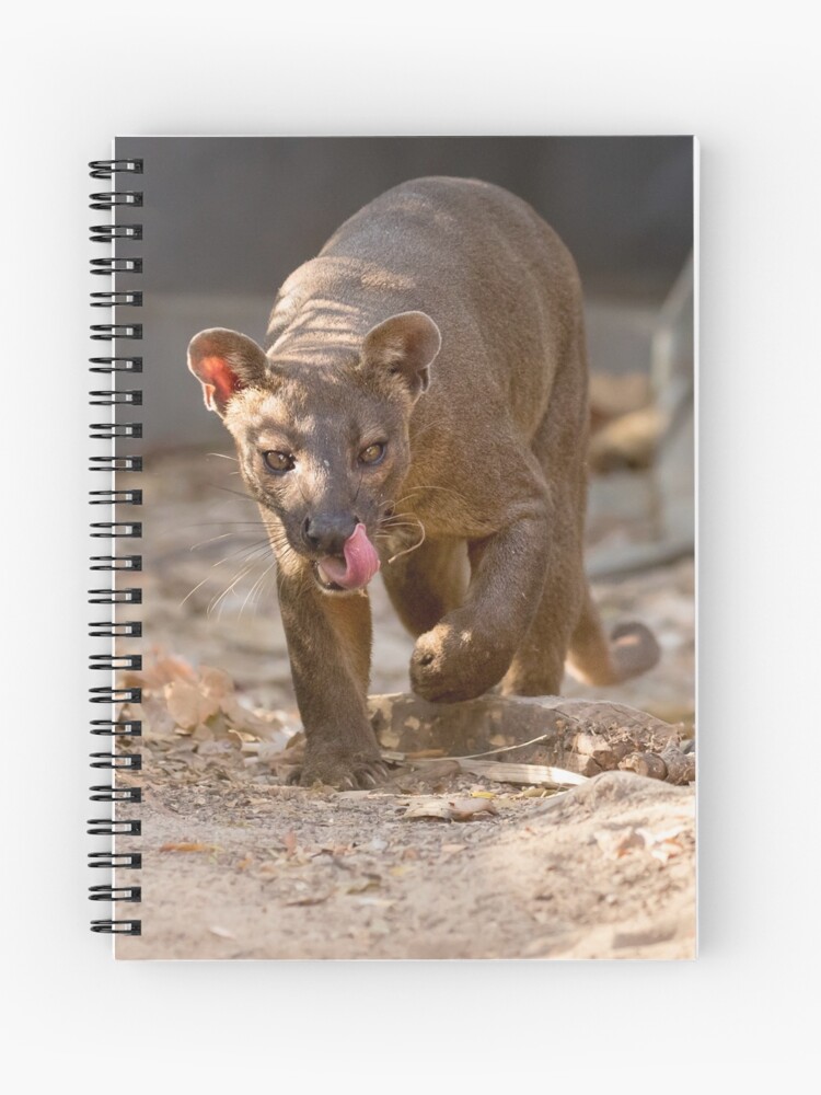 Spiral Notebook, Prowling fossa designed and sold by Anthony Brewer