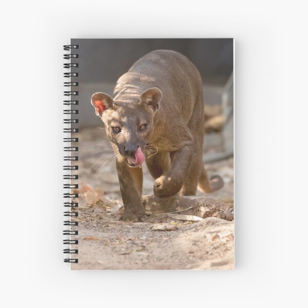 Spiral Notebook