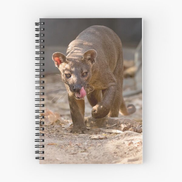 Item preview, Prowling fossa designed and sold by Anthony Brewer.
