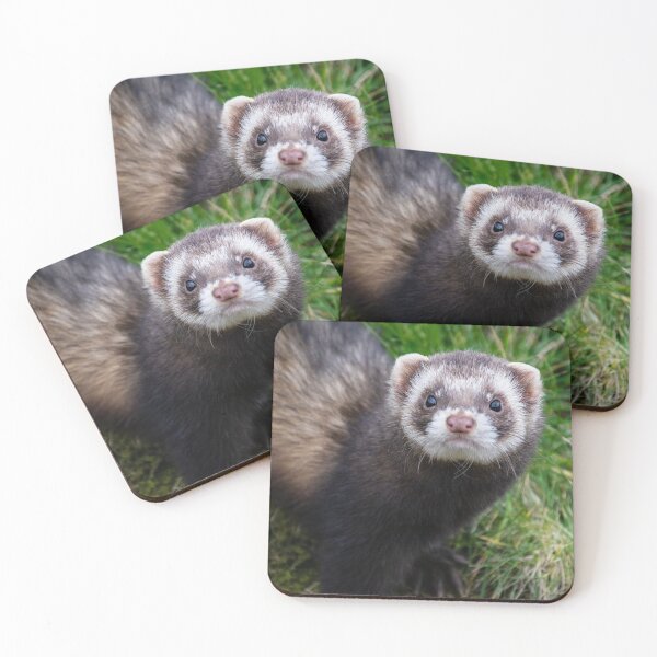 Item preview, polecat  designed and sold by dvlcom.