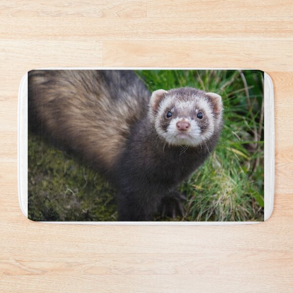 Item preview, polecat  designed and sold by dvlcom.