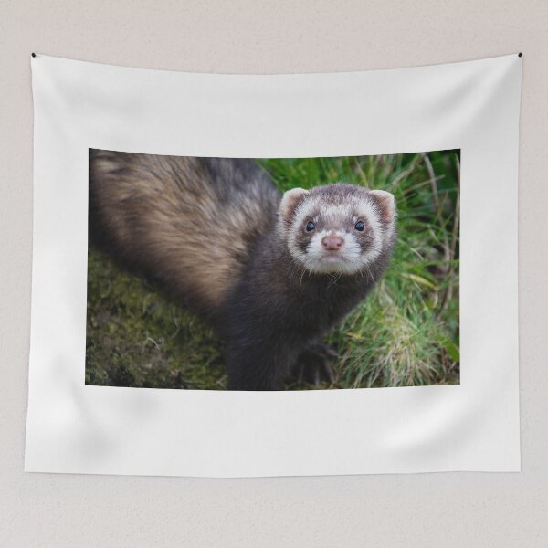 Item preview, polecat  designed and sold by dvlcom.
