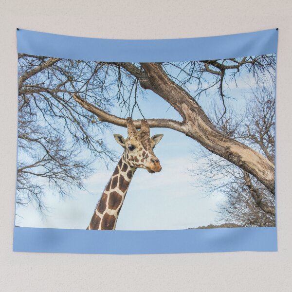 Item preview, Giraffe designed and sold by May Finch.