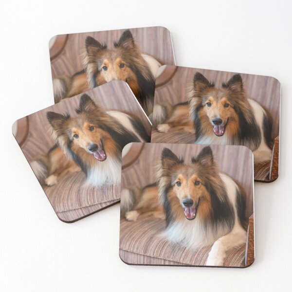 Item preview, Cute Sheltie dog resting designed and sold by flamendes.