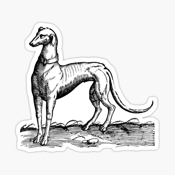 Item preview, Medieval greyhound illustration designed and sold by herracaligari.