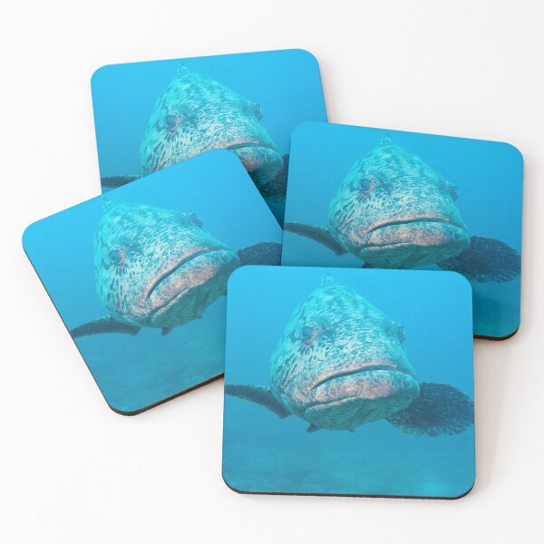 Item preview, Grouper, Mafia Island, Indian Ocean, Tanzania designed and sold by dvlcom.