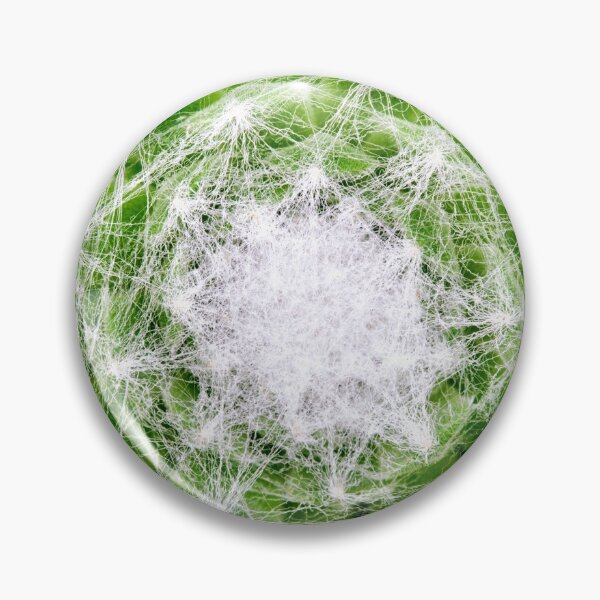 Item preview, Cobweb houseleek designed and sold by troianifabrizio.