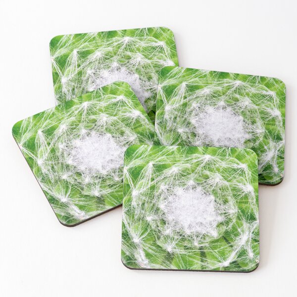 Item preview, Cobweb houseleek designed and sold by troianifabrizio.