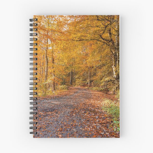 Item preview, Woodland Muddy Footpath in Autumn designed and sold by dvlcom.