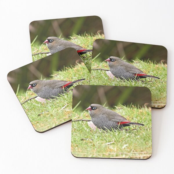 Item preview, Beautiful Firetail designed and sold by Robert Elliott.