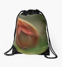 P's and Q's Drawstring Bag