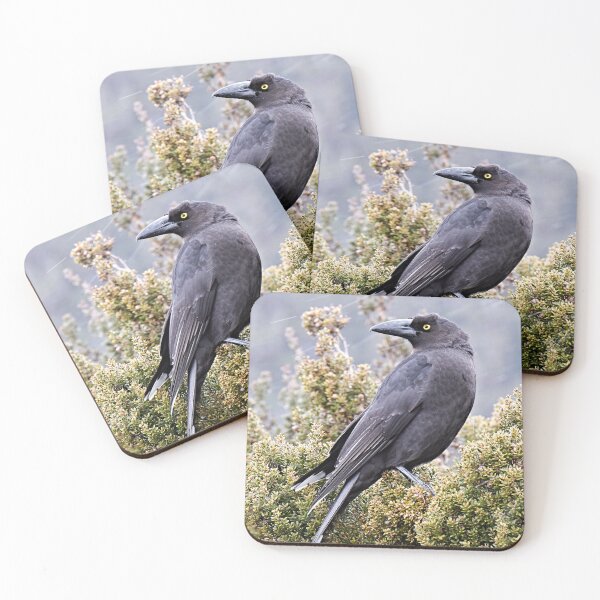 Item preview, Tasmanian Currawong designed and sold by Robert Elliott.