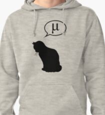 Physics Cat and Friction Coefficient Pullover Hoodie