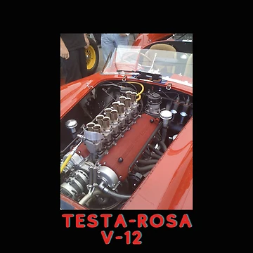 Artwork thumbnail, Testa - Rosa V-12 Perfection tee by RBOJCK