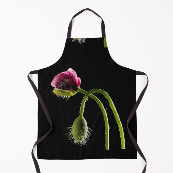 Item preview, 2 poppies on black not open designed and sold by MarkFoleyPhoto.