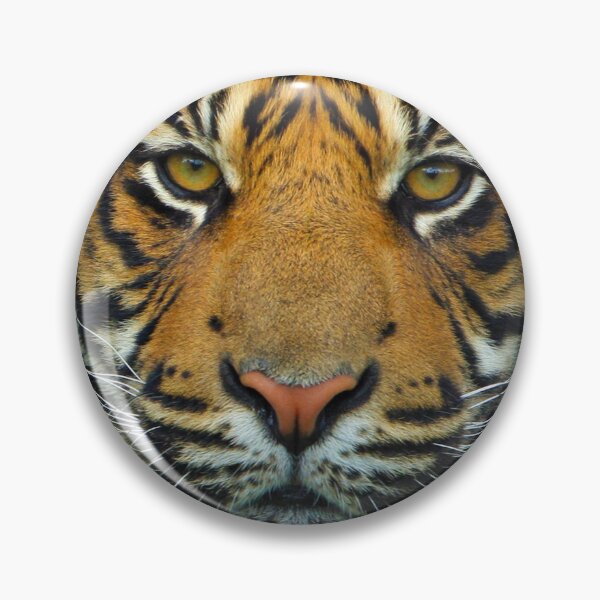 Item preview, Tiger Face designed and sold by DesignCats.