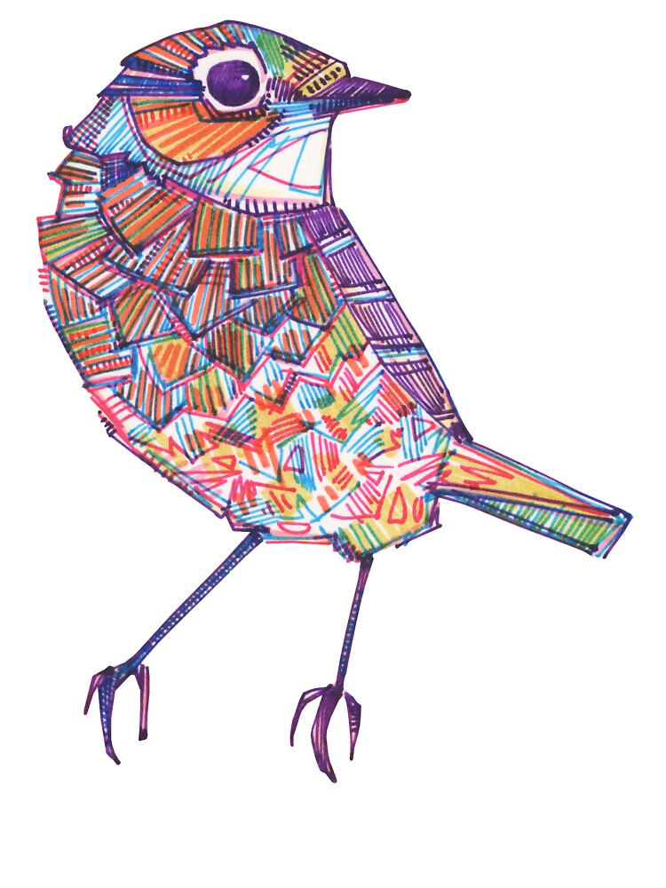 Asad Afridi Arts - Finch Drawing For Kids & Beginners Step by Step  #asadafridiarts #finch #drawing #birds | Facebook