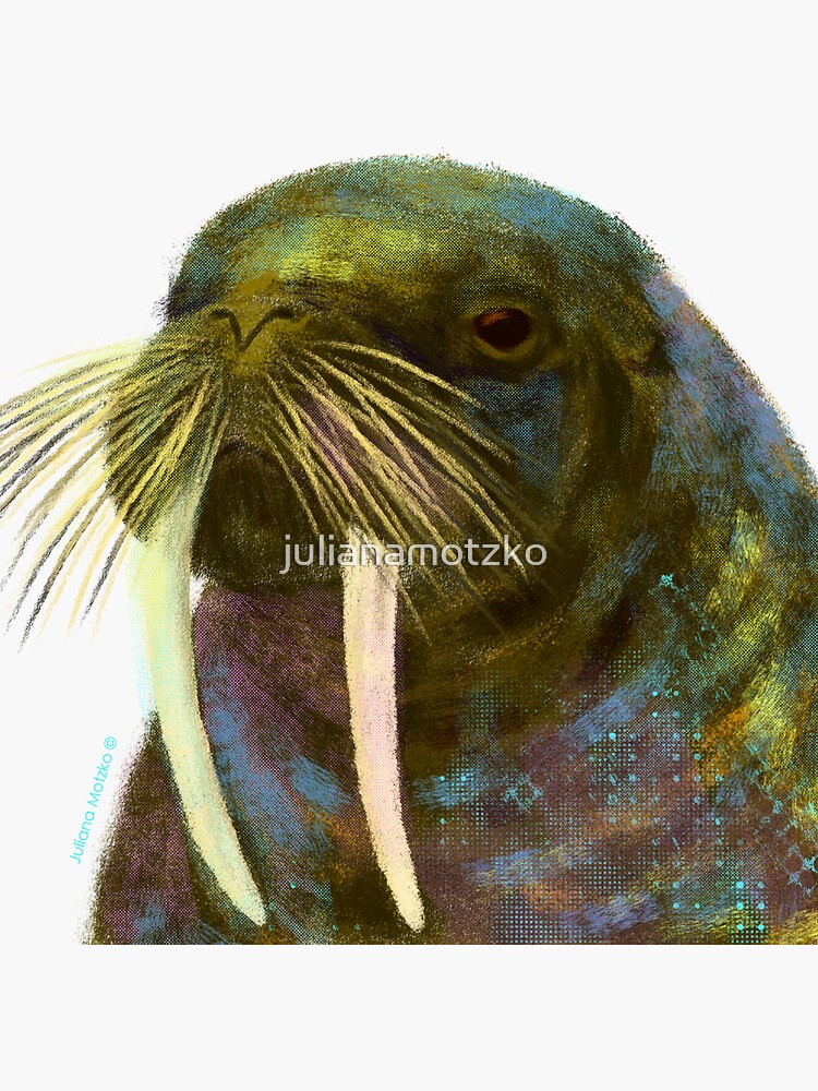 Walrus by julianamotzko