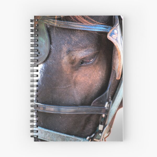 Item preview, Horse designed and sold by Diego Re.