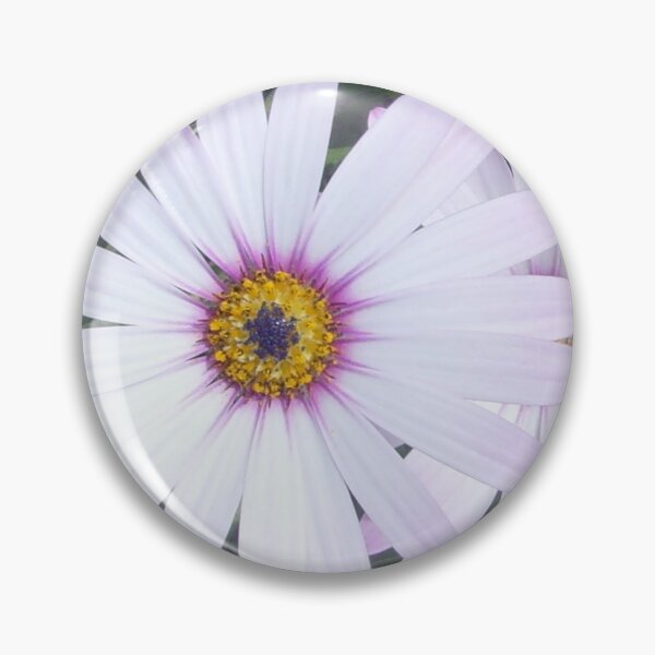 Item preview, African daisies on a sunny day designed and sold by FunkiFunki.