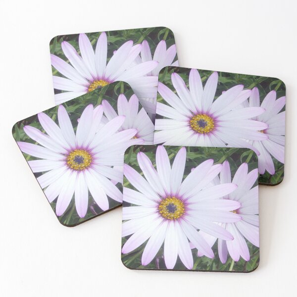 Item preview, African daisies on a sunny day designed and sold by FunkiFunki.