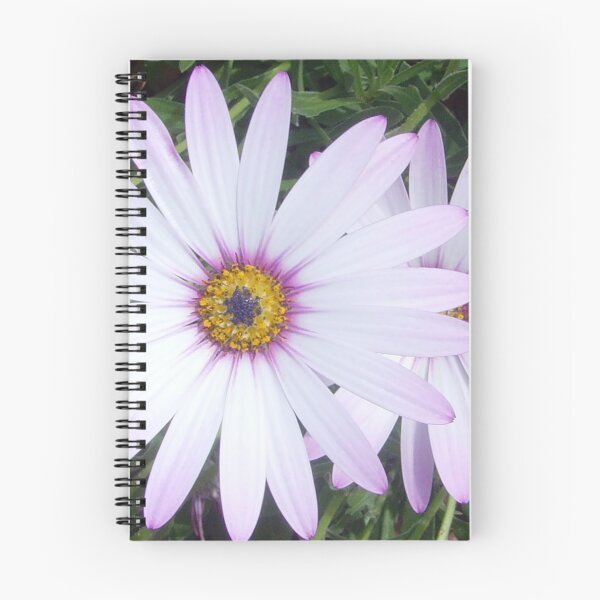Item preview, African daisies on a sunny day designed and sold by FunkiFunki.
