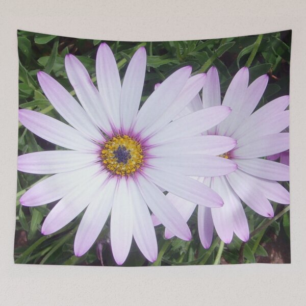 Item preview, African daisies on a sunny day designed and sold by FunkiFunki.