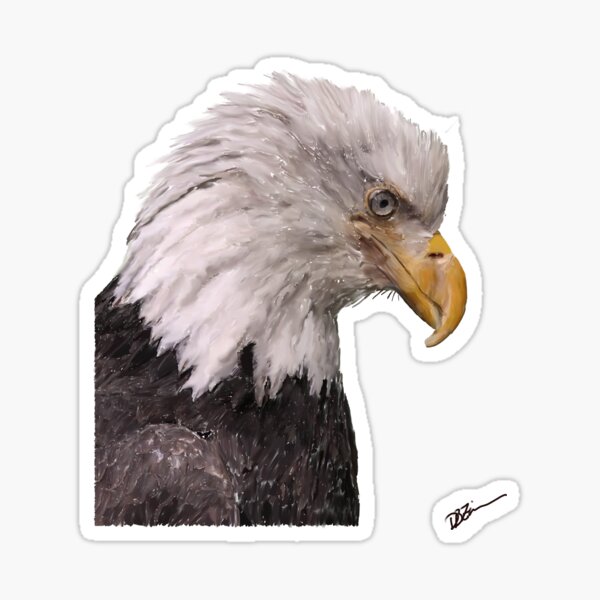 American Bald Eagle Sticker