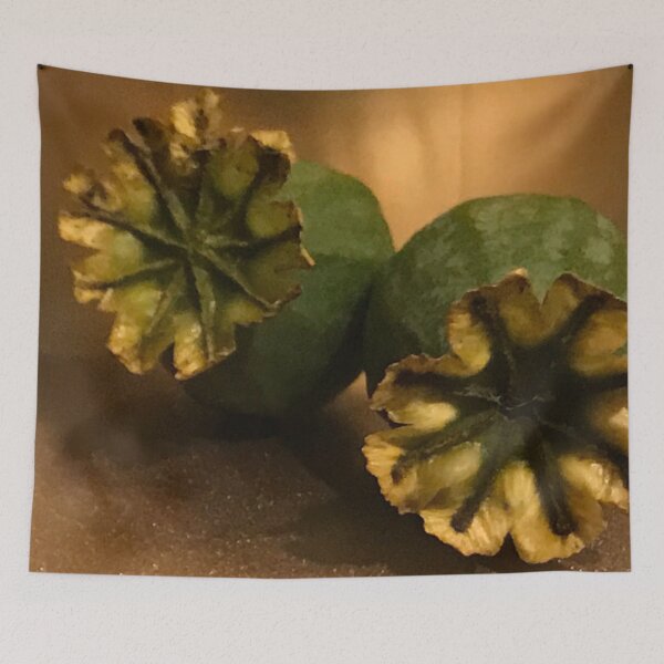 Item preview, Photo of two green poppy seed heads, tinged with yellow against a golden backdrop. designed and sold by Lorraine Lashley  - My Joy..