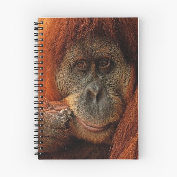 Item preview, Orangutan designed and sold by Danielle  Miner.