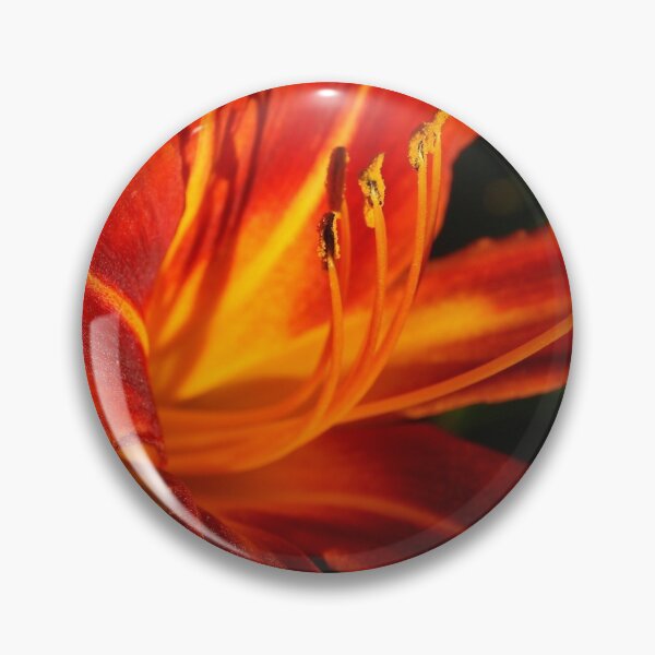 Item preview, Red Daylily (Hemerocallis) from A Gardener's Notebook designed and sold by Douglas E. Welch Design and Photography.