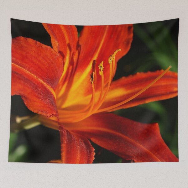 Item preview, Red Daylily (Hemerocallis) from A Gardener's Notebook designed and sold by Douglas E. Welch Design and Photography.
