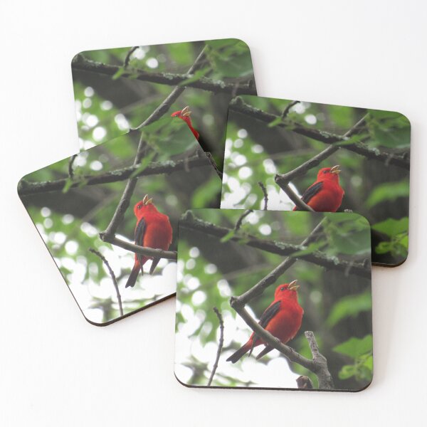 Item preview, Scarlet tanager (Piranga olivacea), Washington, DC designed and sold by UpTowardTheSky.