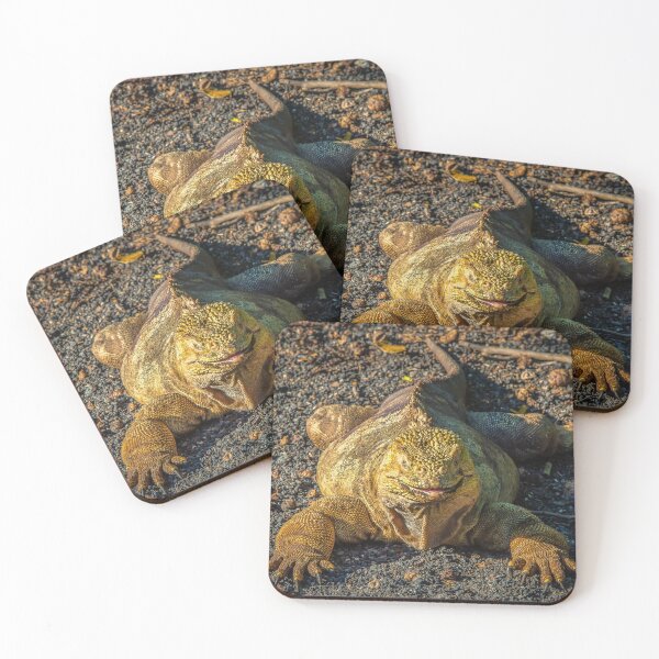 Item preview, Galapagos Land Iguana, Galapagos Islands designed and sold by iansmissenphoto.