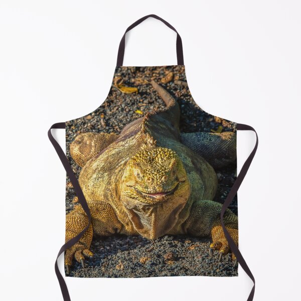 Item preview, Galapagos Land Iguana, Galapagos Islands designed and sold by iansmissenphoto.