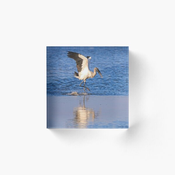 The Range of Prospects Acrylic Block