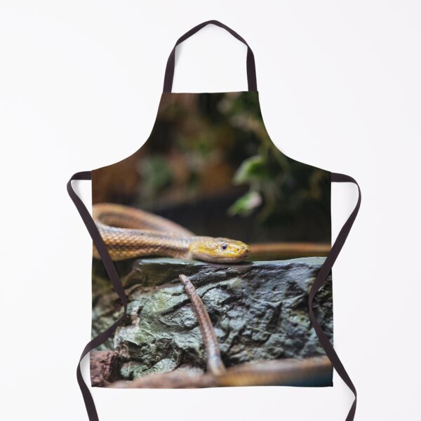 Artikelvorschau, Braune Schlange auf einem Felsen süßes Reptil entworfen und verkauft von WichitaClothing.