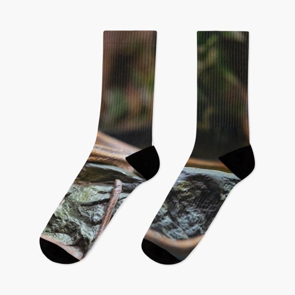 Item preview, Brown Snake on a Rock Cute Reptile designed and sold by WichitaClothing.