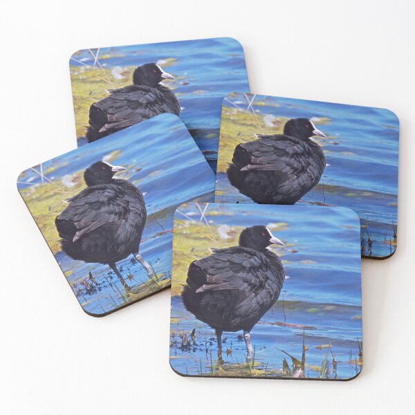 Item preview, Australian Eurasian coot bird happy in a lake  designed and sold by hendrikspix.