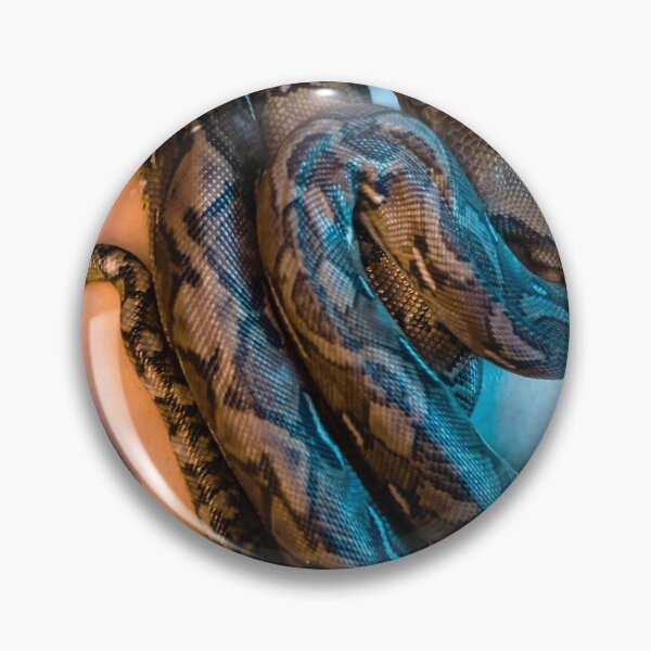 Item preview, Brown Ball Python Being Held Cute Reptile Snake designed and sold by WichitaClothing.