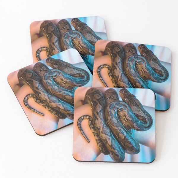 Item preview, Brown Ball Python Being Held Cute Reptile Snake designed and sold by WichitaClothing.