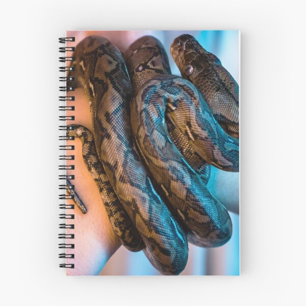 Item preview, Brown Ball Python Being Held Cute Reptile Snake designed and sold by WichitaClothing.