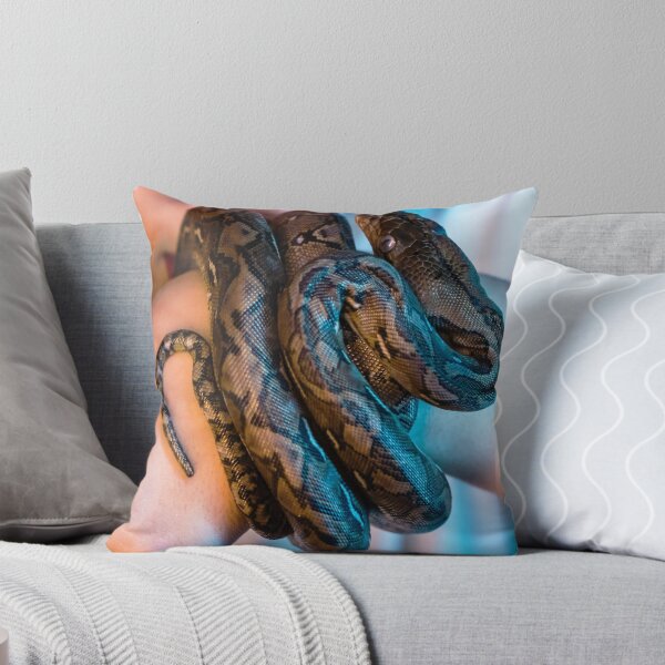 Item preview, Brown Ball Python Being Held Cute Reptile Snake designed and sold by WichitaClothing.