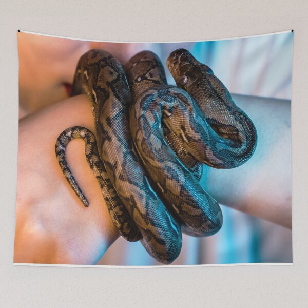 Item preview, Brown Ball Python Being Held Cute Reptile Snake designed and sold by WichitaClothing.