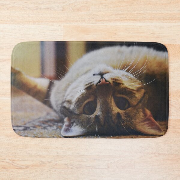 Item preview, Funny Cat Laying On Back Tan Cute Kitten designed and sold by WichitaClothing.