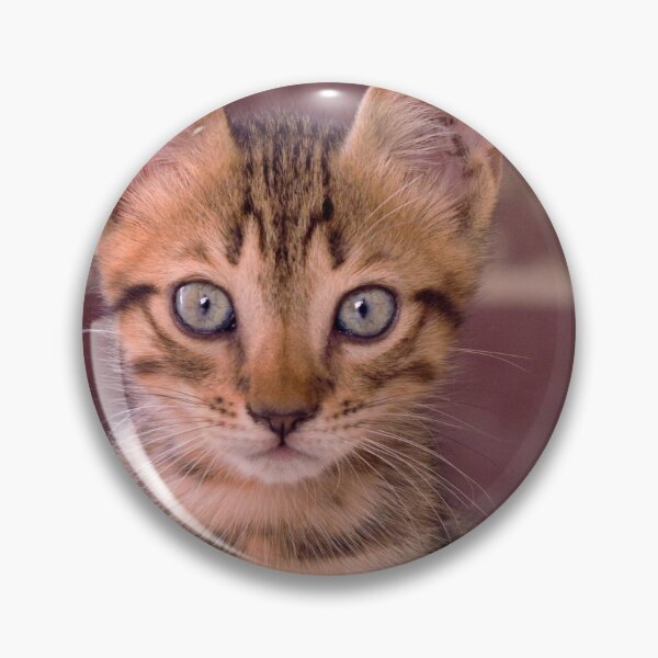 Item preview, Adorable Kitten Stare Cat Ears Cute designed and sold by WichitaClothing.